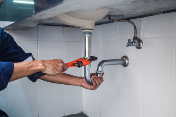 Best Local Plumber Services  in Harleigh, PA